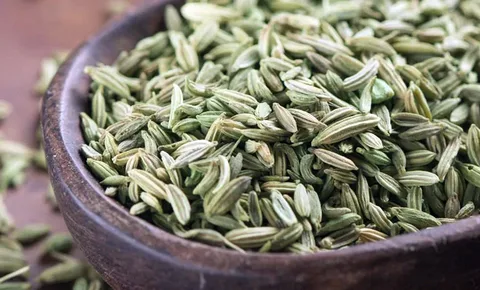 تصویر 3 از زیره سبز طبیعی با طعمی اصیل و عطر بی نظیر
